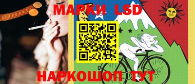 гидропоника Гусев