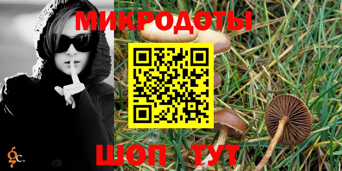Златоуст  Псилоцибиновые грибы GOLDEN TEACHER  Вход с VPN 