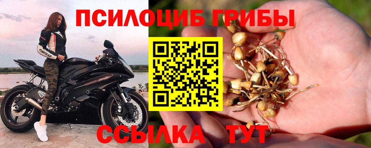 Псилоцибиновые грибы мицелий Златоуст